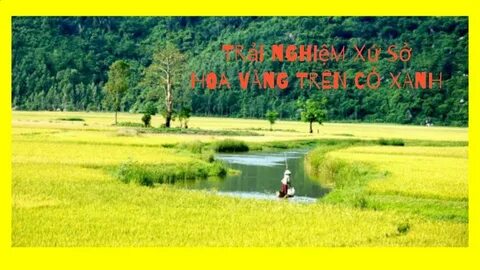 Sự Bùng Nổ Của Video Ngắn và Trí Tuệ Nhân Tạo: Vai Trò Thiết Yếu Của Đào Tạo Kỹ Năng Sáng Tạo Nội Dung_Phân phối video đa kênh
